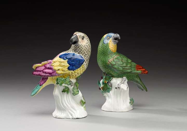 Two parrots "medium sort"